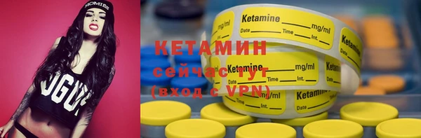 стаф Семилуки